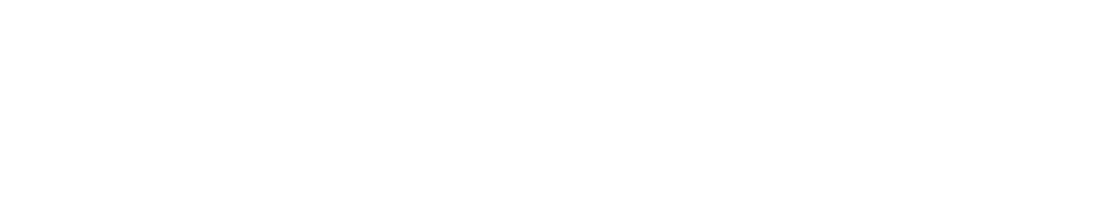 e-FORT